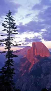 phone California wallpaper