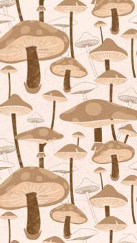 Indie mushroom wallpaper