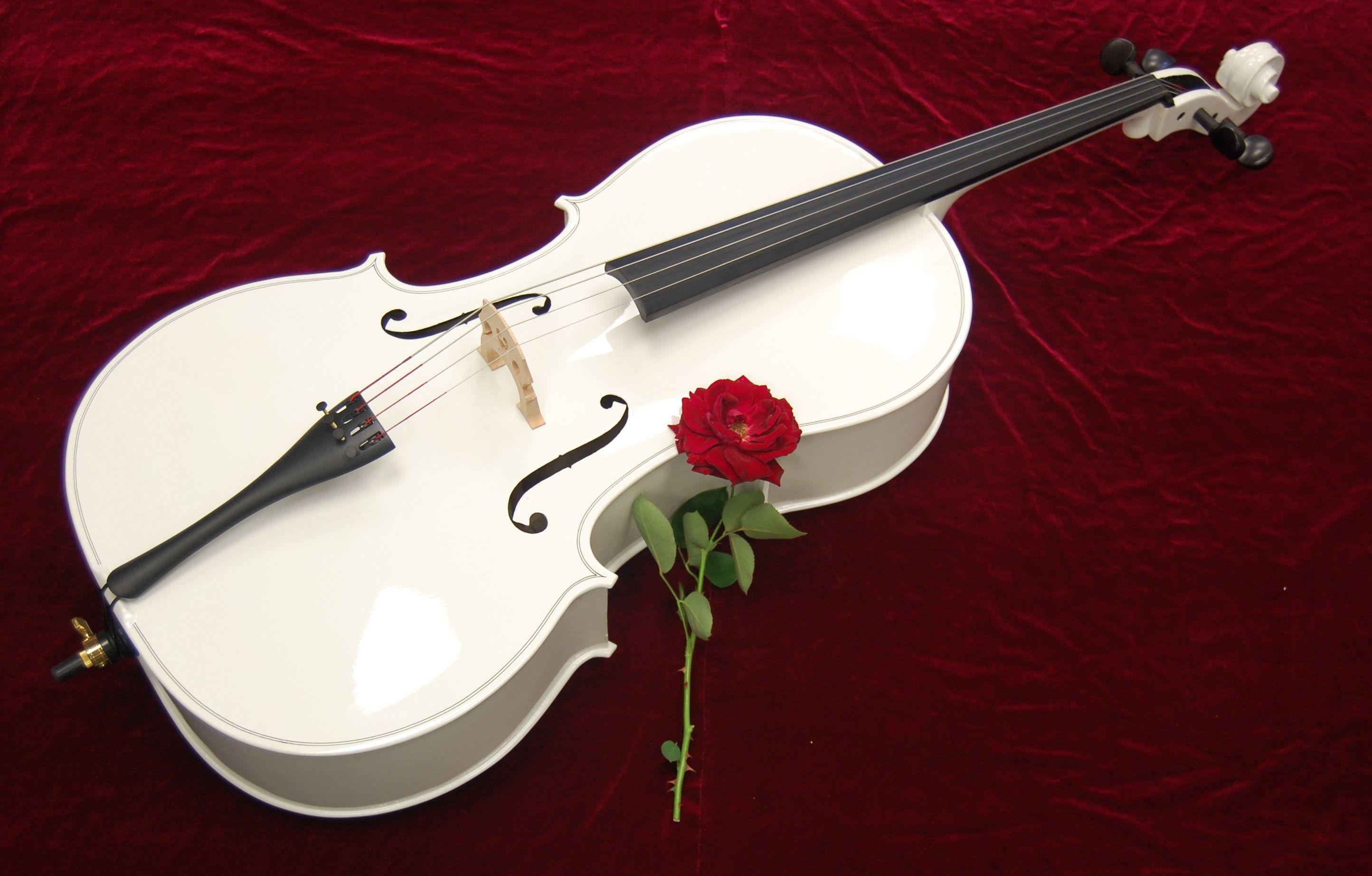 Cello Instruments Philharmonic Wallpaper