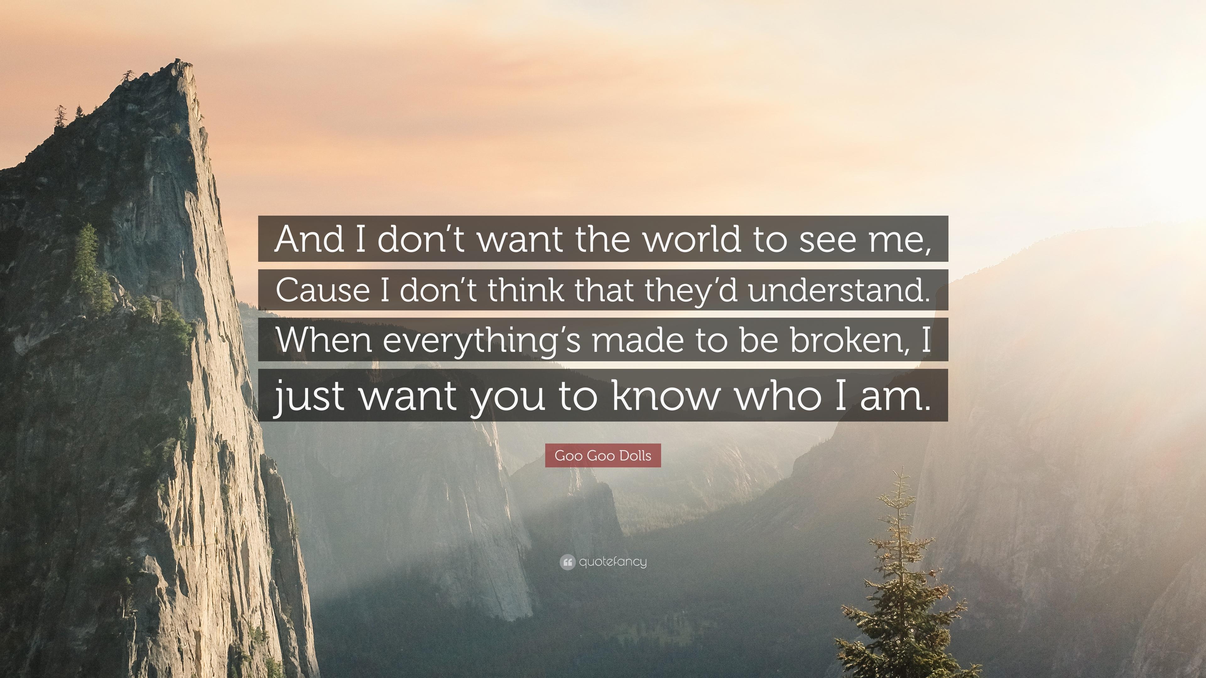 Goo Goo Dolls Quote: “And I don't want the world to see me, Cause I